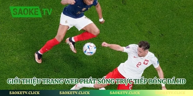 Giới thiệu trang web phát sóng trực tiếp bóng đá HD