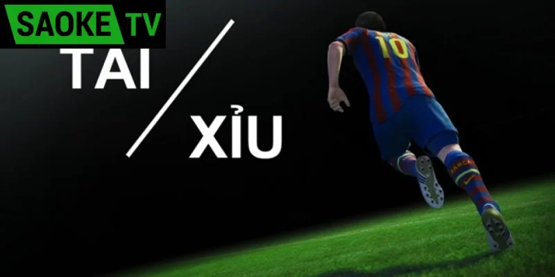 Tài xỉu 1 trái là sao?